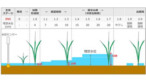 水管理論|水管理